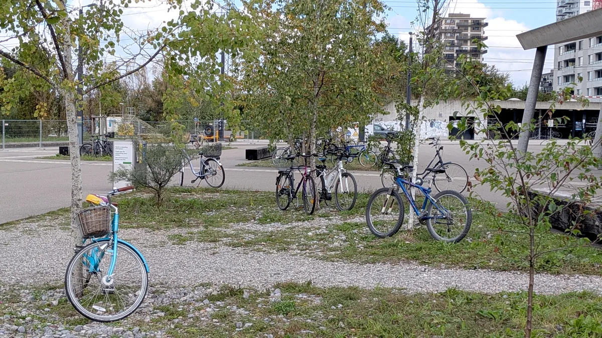 Velos, die an Bäume angebunden und auf Grünflächen abgestellt wurden.